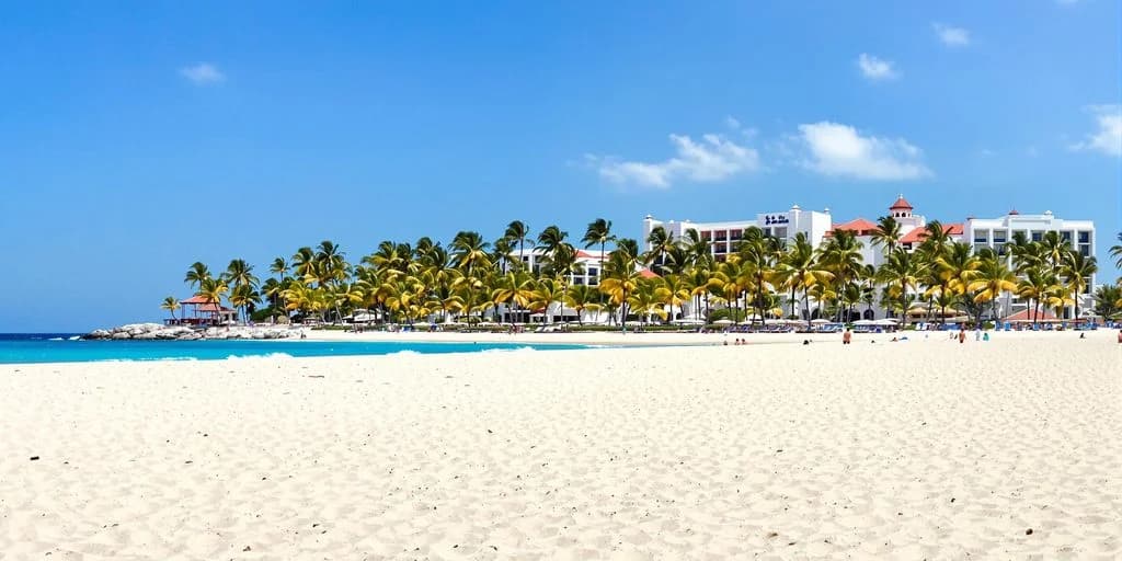 White sand beach at San Jose Del Cabo 2026: What You Need to Know with resort, palm trees beyond