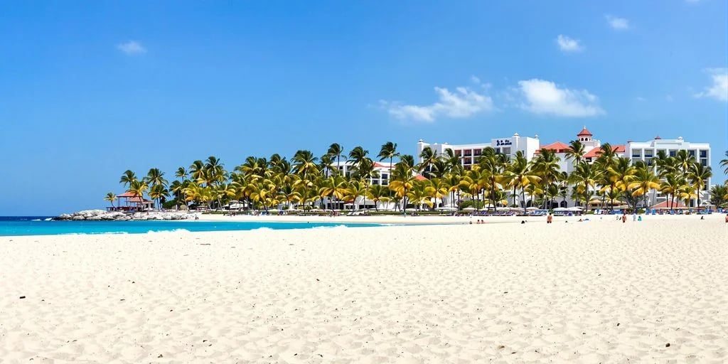 White sand beach at San Jose Del Cabo 2026: What You Need to Know with resort, palm trees beyond