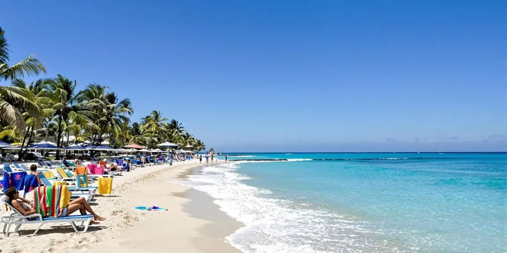 Sandy beach at Top tips for planning a trip around all inclusive resorts in cabo san lucas mexico with people, palm trees
