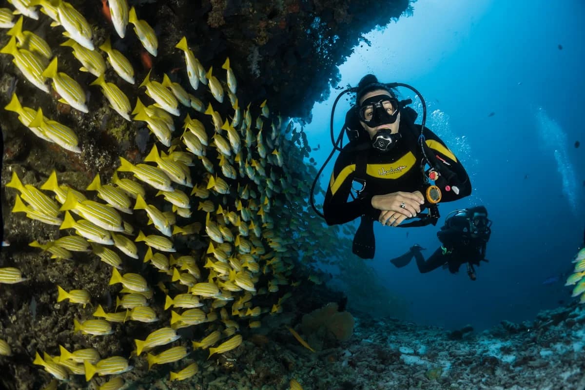 Scuba diver at Why Cabo Vacation Packages Include More Activities Than Competitors with school of yellow fish