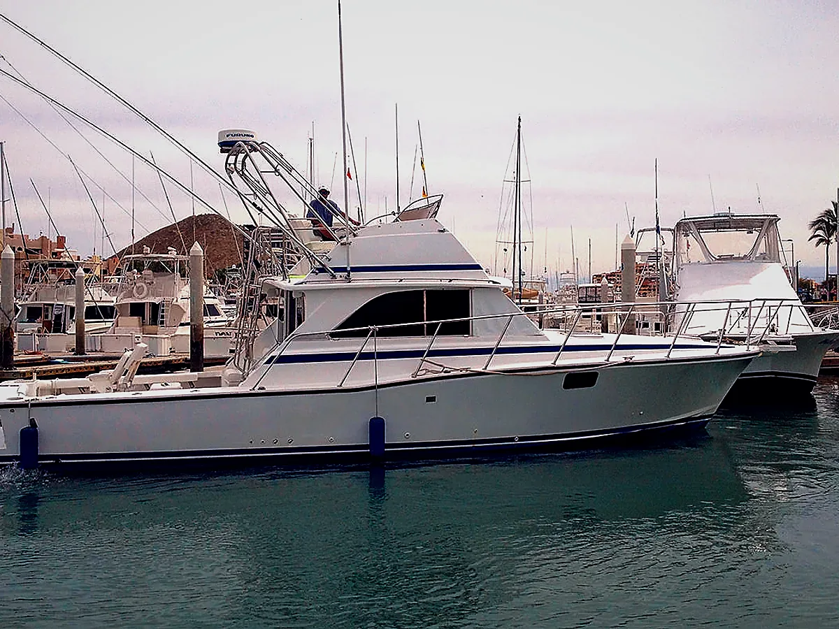 42ft Bertram — sportfishing charter in Cabo San Lucas