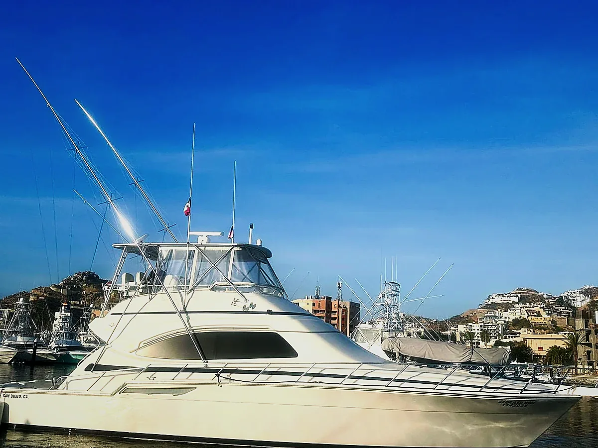 55ft Bertram — sportfishing charter in Cabo San Lucas