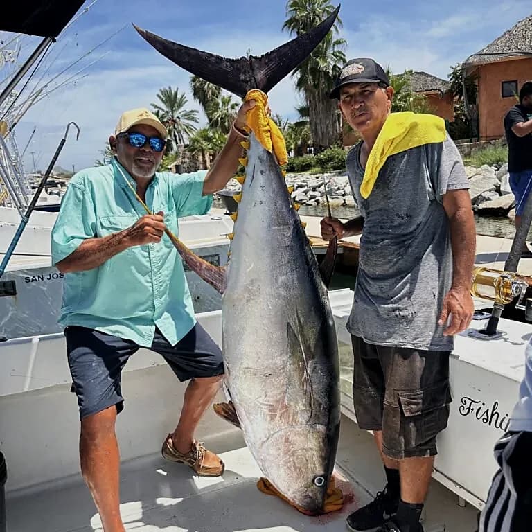 28ft Californian Cruiser fishing boat