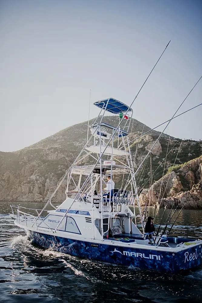 Tours de Pesca en Los Cabos: Guía Comparativa