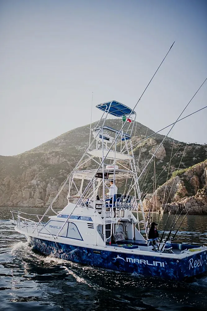Tours de Pesca en Los Cabos: Guía Comparativa