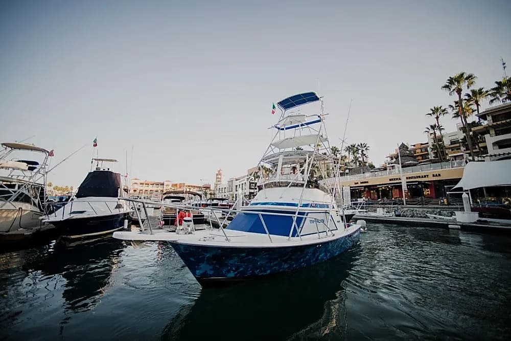 Sport Fishing Cabo Cost