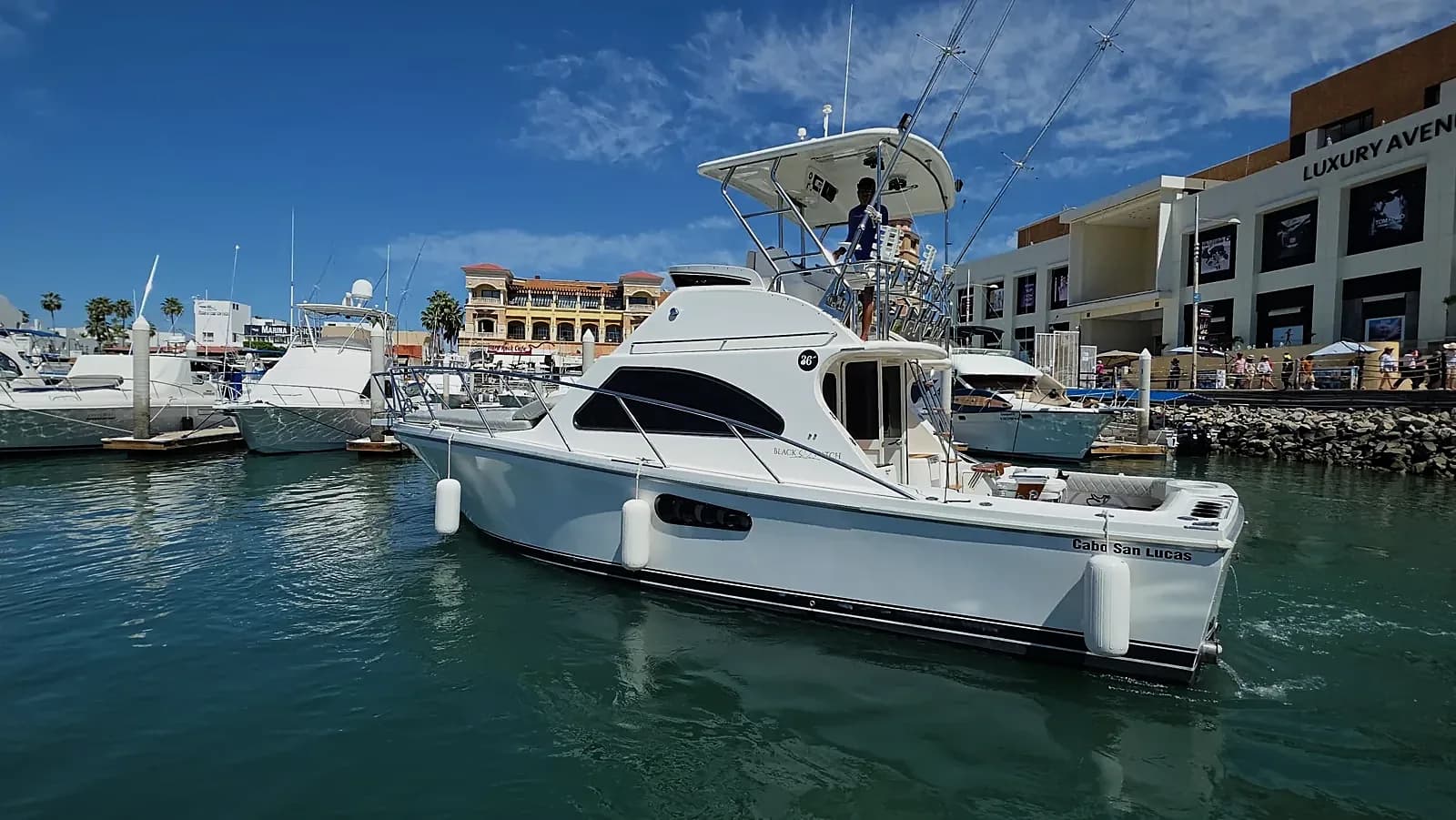Tu Guía Definitiva de Pesca Submarina en Cabo San Lucas 2026