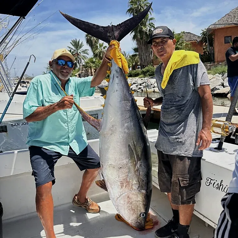 28ft Californian Cruiser — sportfishing charter in San José del Cabo