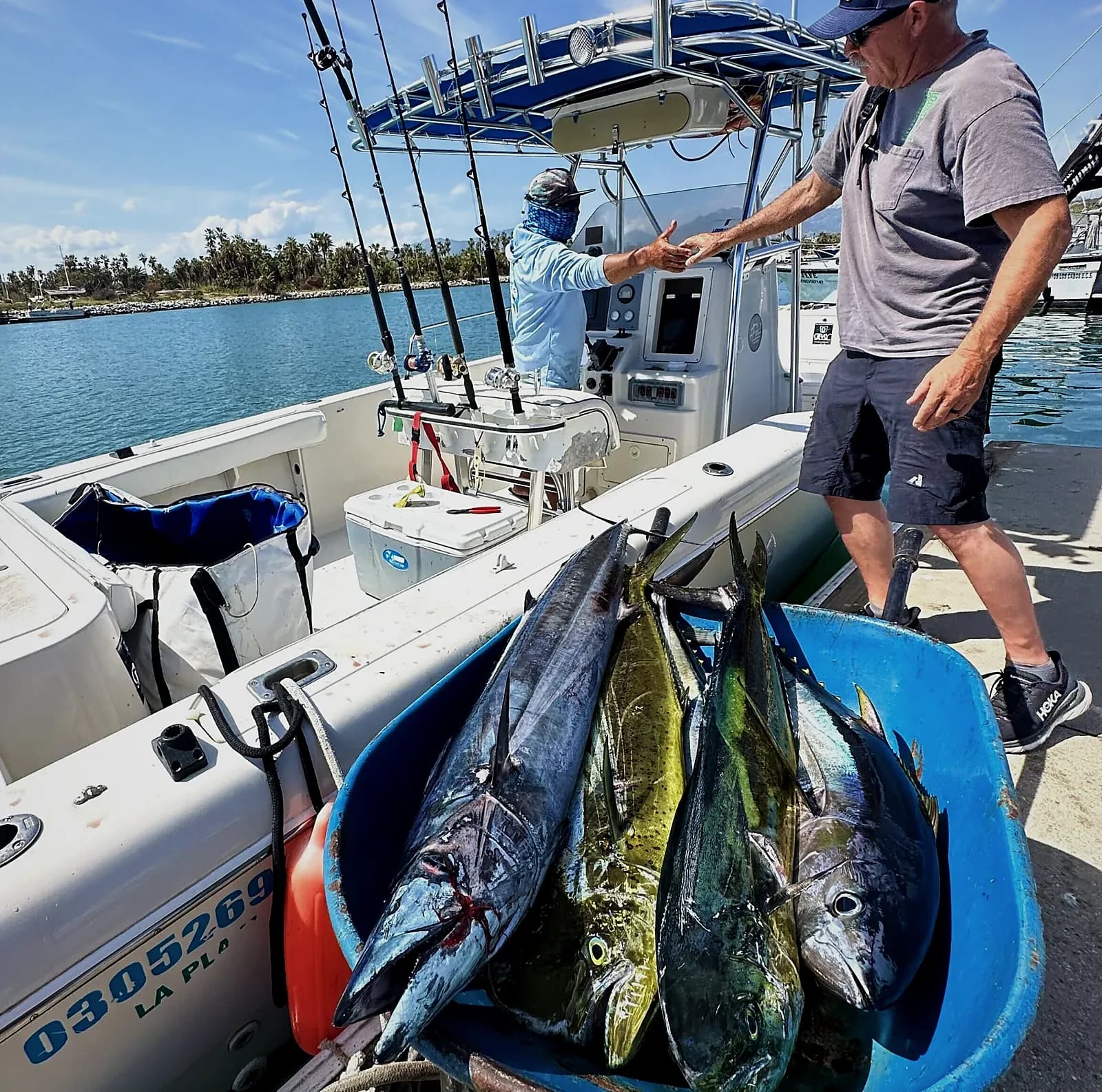 Reel Smart: Navegando los Mejores Tours de Pesca Compartidos en Cabo San Lucas con Estilo y Sustancia