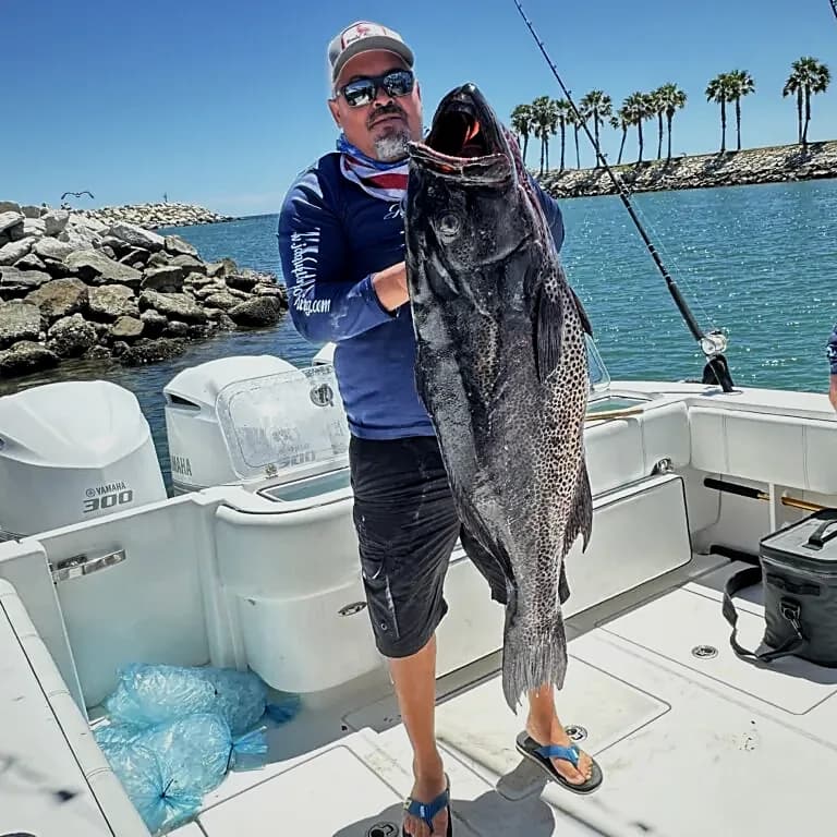 Best Fishing Cabo San Lucas