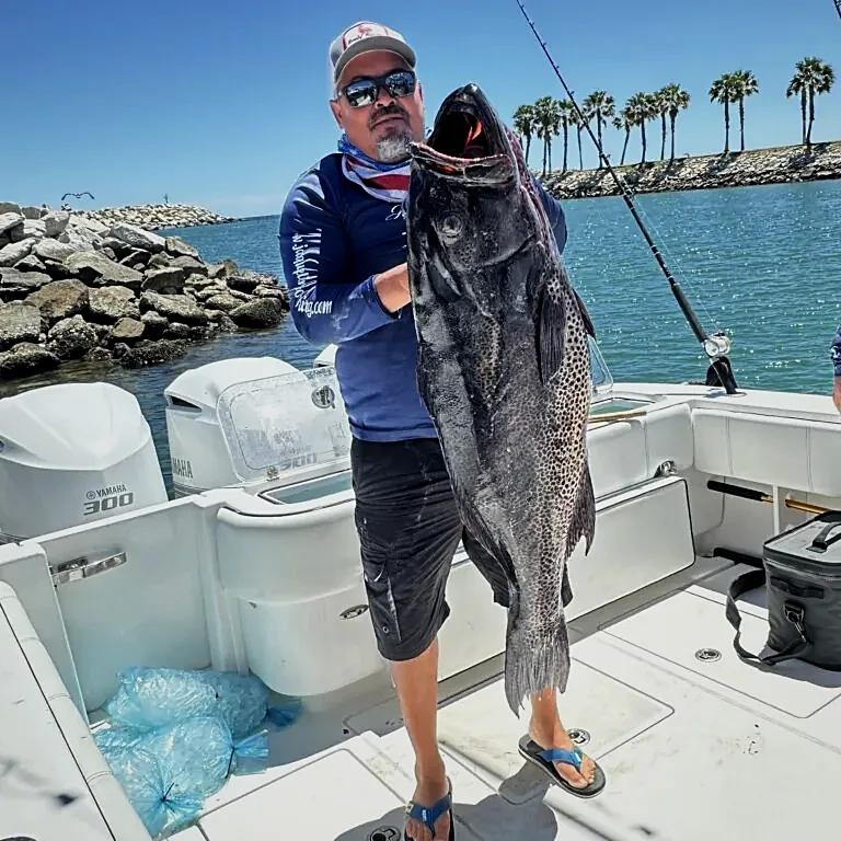 Bella's 2026 Guide to Blue Sky Cabo Fishing and Tours