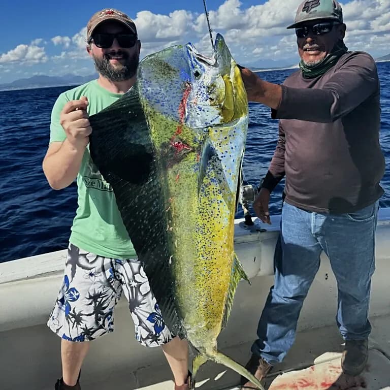 32ft Cruiser Tiara, barco de pesca deportiva en San José del Cabo