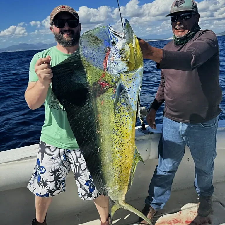 32ft Cruiser Tiara, pesca deportiva en San José del Cabo