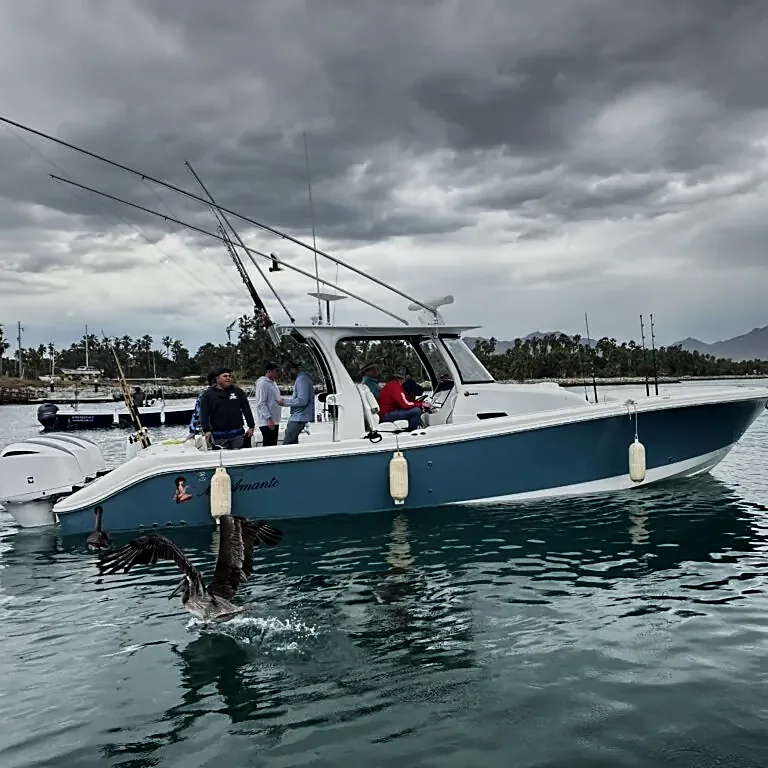 Tu Guía 2026 de Precios de Charters de Pesca en Cabo y Aventuras en Alta Mar