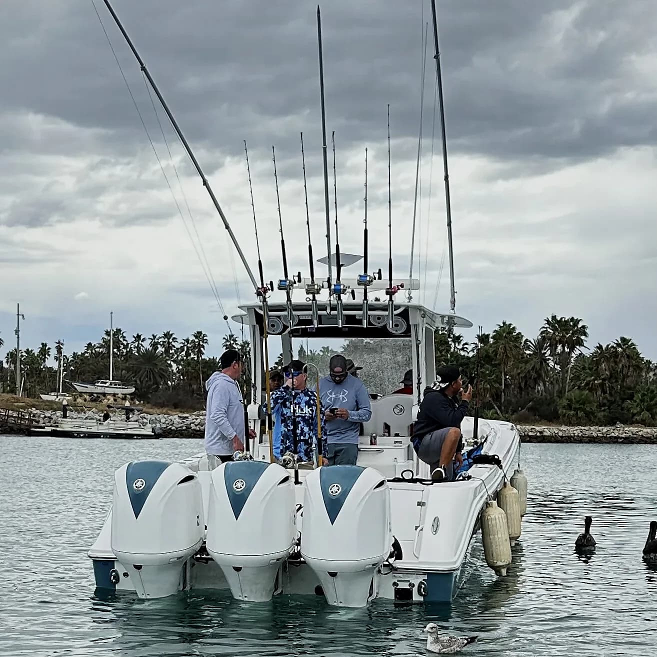 Deep Sea Fishing Cabo San Lucas