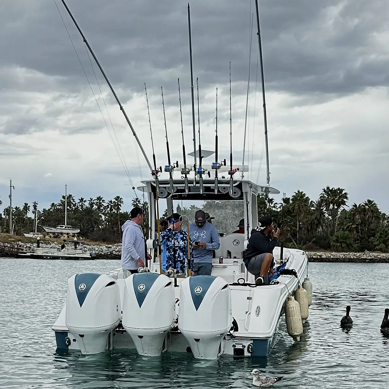 Deep Sea Fishing Cabo San Lucas