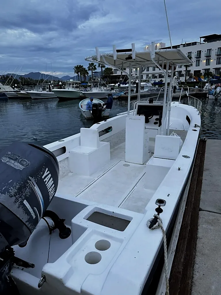 Unforgettable Group Fishing in Cabo San Lucas 2026: Your Ultimate Guide