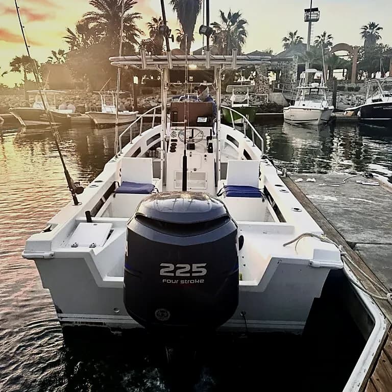 Tu guía definitiva de torneos de pesca en Cabo San Lucas 2026