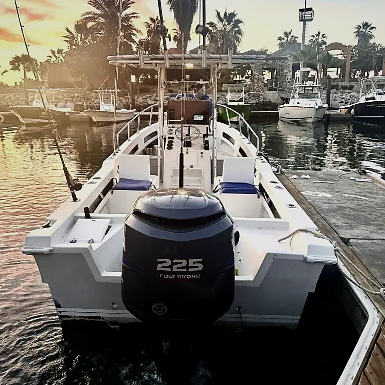 Tu Primera Vez de Pesca en Cabo