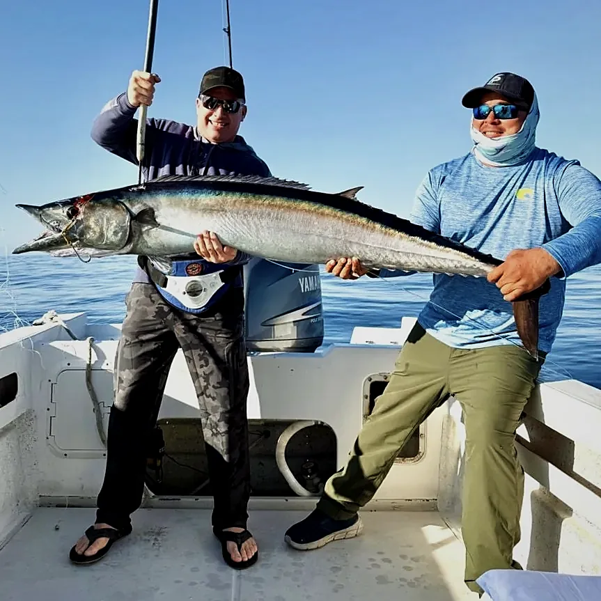 Pesca en Cabo San Lucas 2026: Qué esperar en el agua