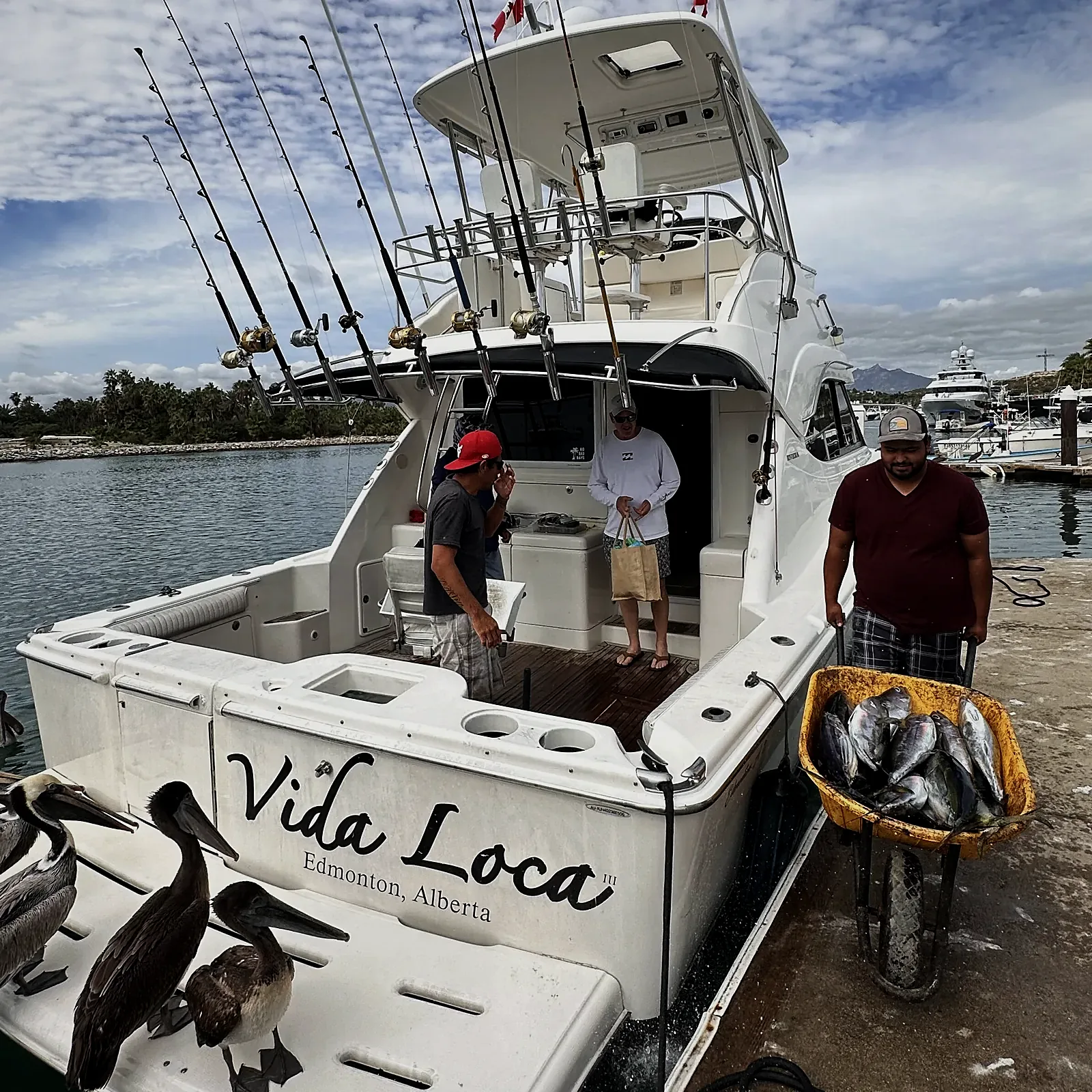 45ft Yacht Rivier — sportfishing charter in San José del Cabo