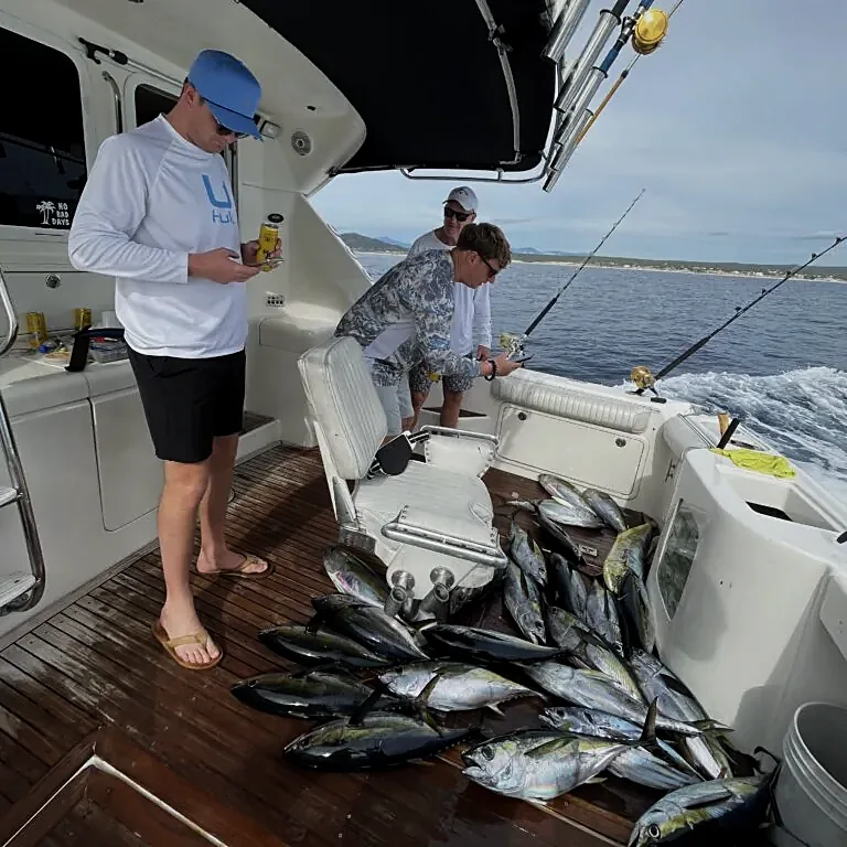 Cabo Fishing Charters Where 12,000+ Fish Are Caught Annually