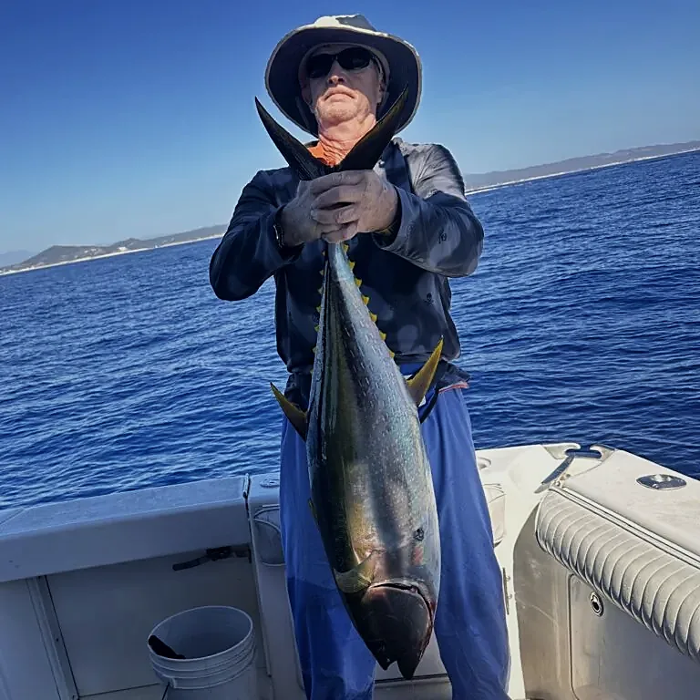 Cabo Fishing Charters With Breakfast, Gear & Beer Included