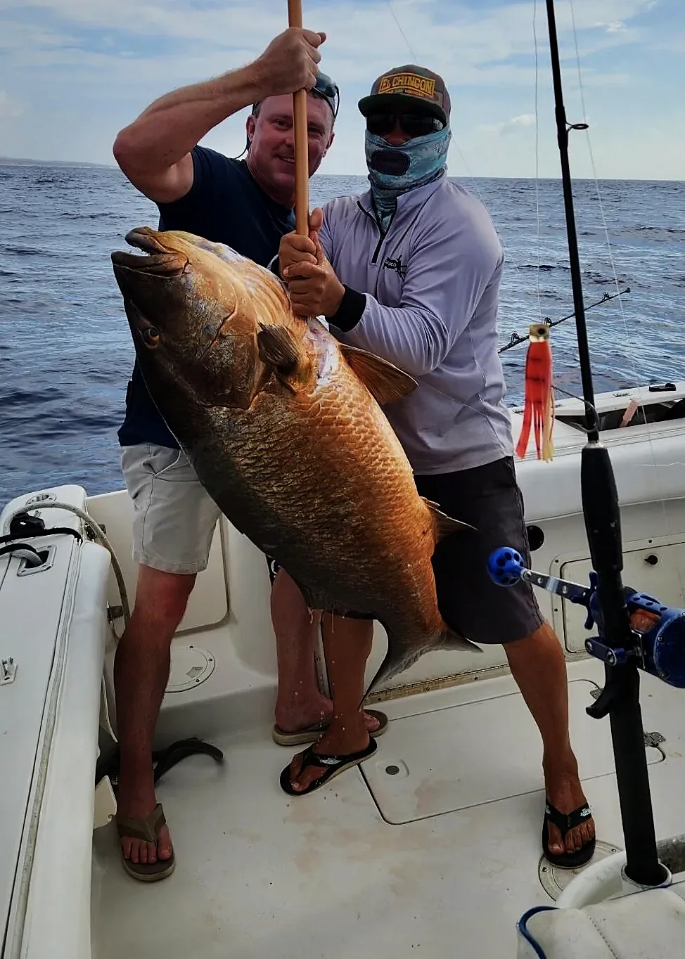 Best Yacht Charters in Cabo: Sizes, Prices & Routes