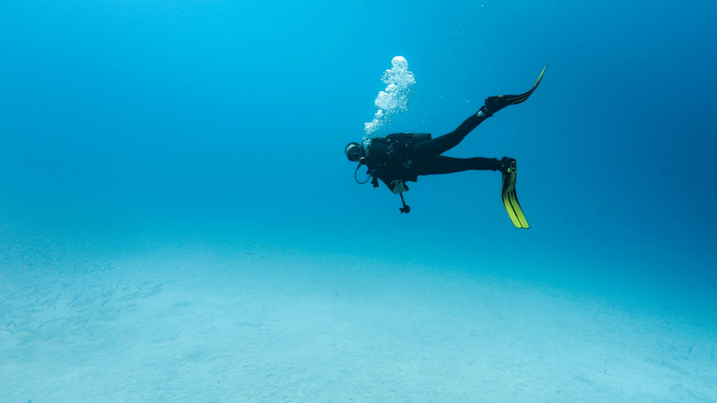 Foto de categoría de Buceo en Los Cabos, para Dive Cabo