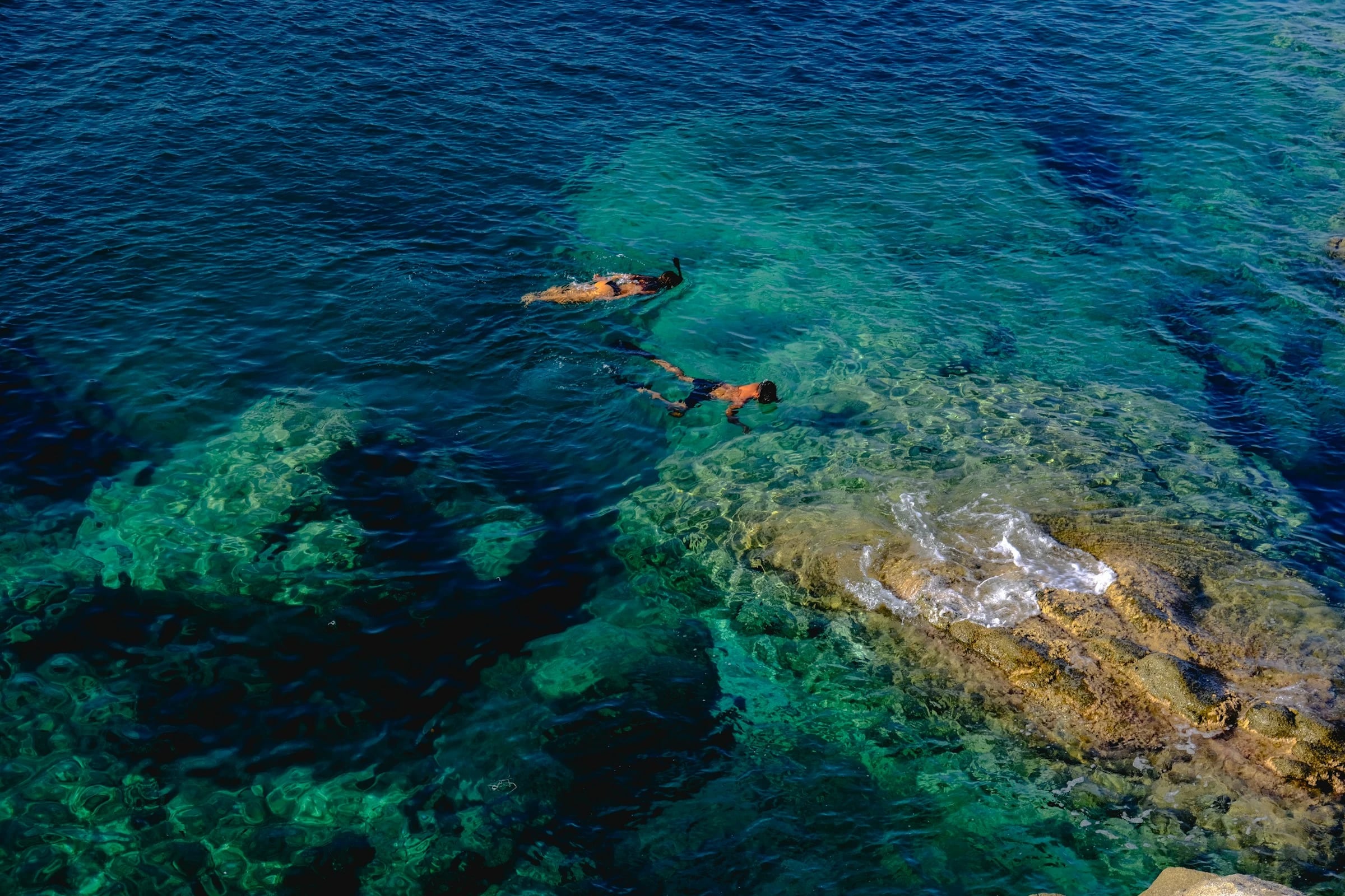 Foto de categoría de Snorkel en Los Cabos, para Baja Snorkel