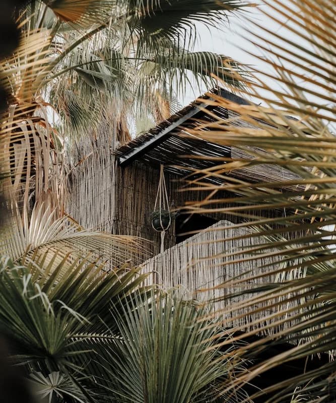 Unique Stays in Cabo: Treehouses, Domes, Tipis and Design Hotels