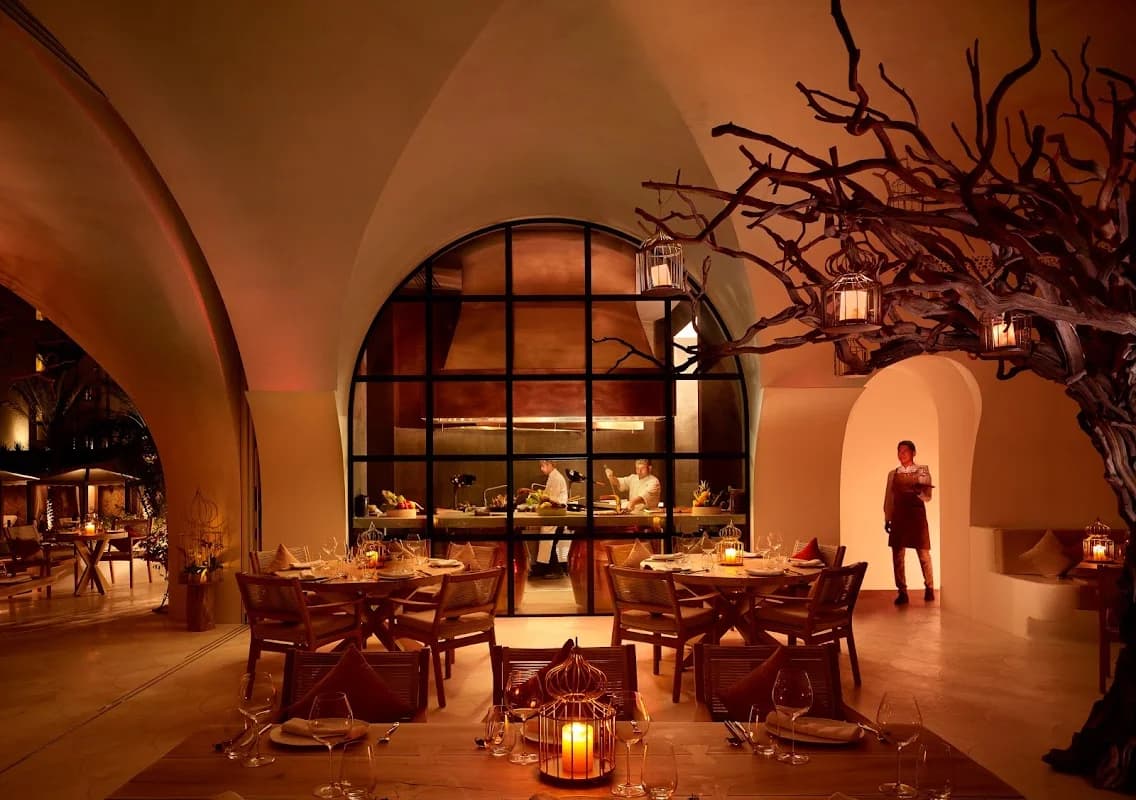 Indoor restaurant at Arbol with open kitchen, warm lighting in San José del Cabo