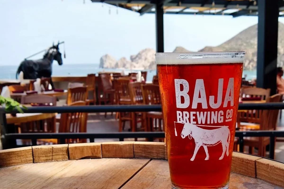 Glass of beer at Baja Brewing with ocean view background in Cabo San Lucas