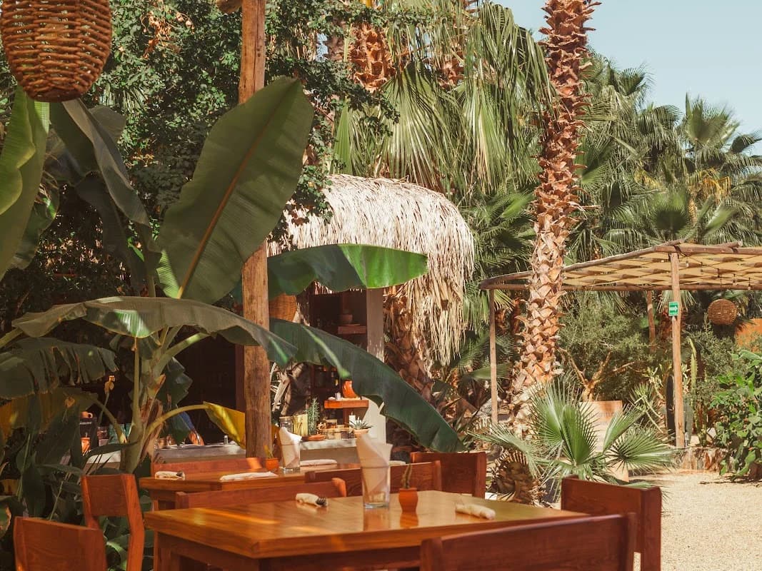 Cien Palmas - restaurant in Todos Santos