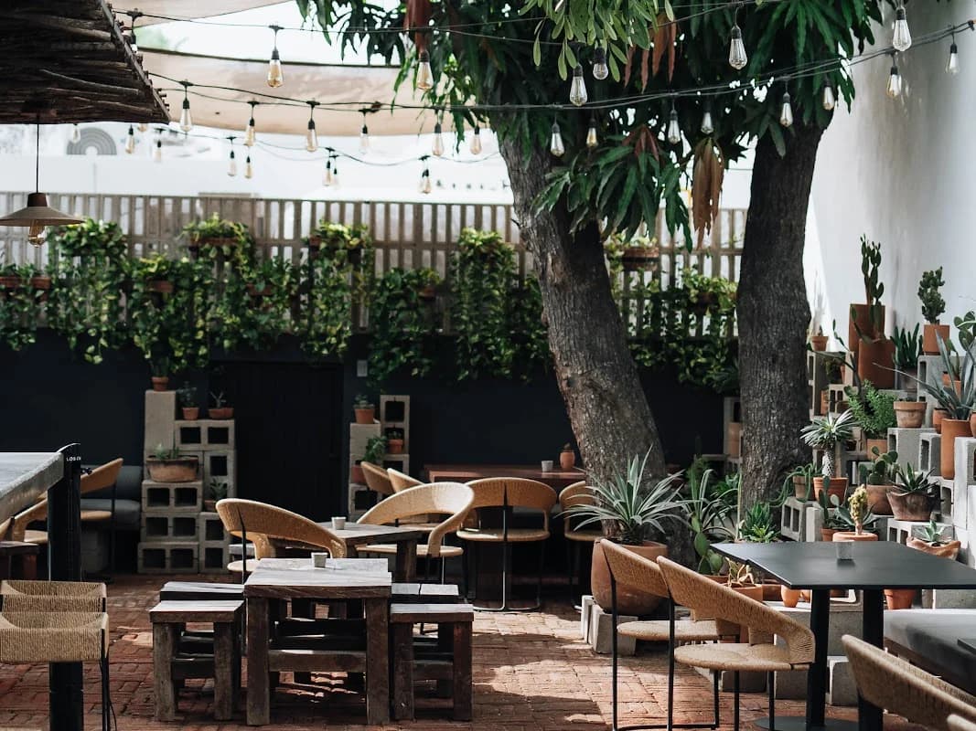 Outdoor patio at Drift Kitchen and Mezcal Bar with string lights, large tree in San José del Cabo