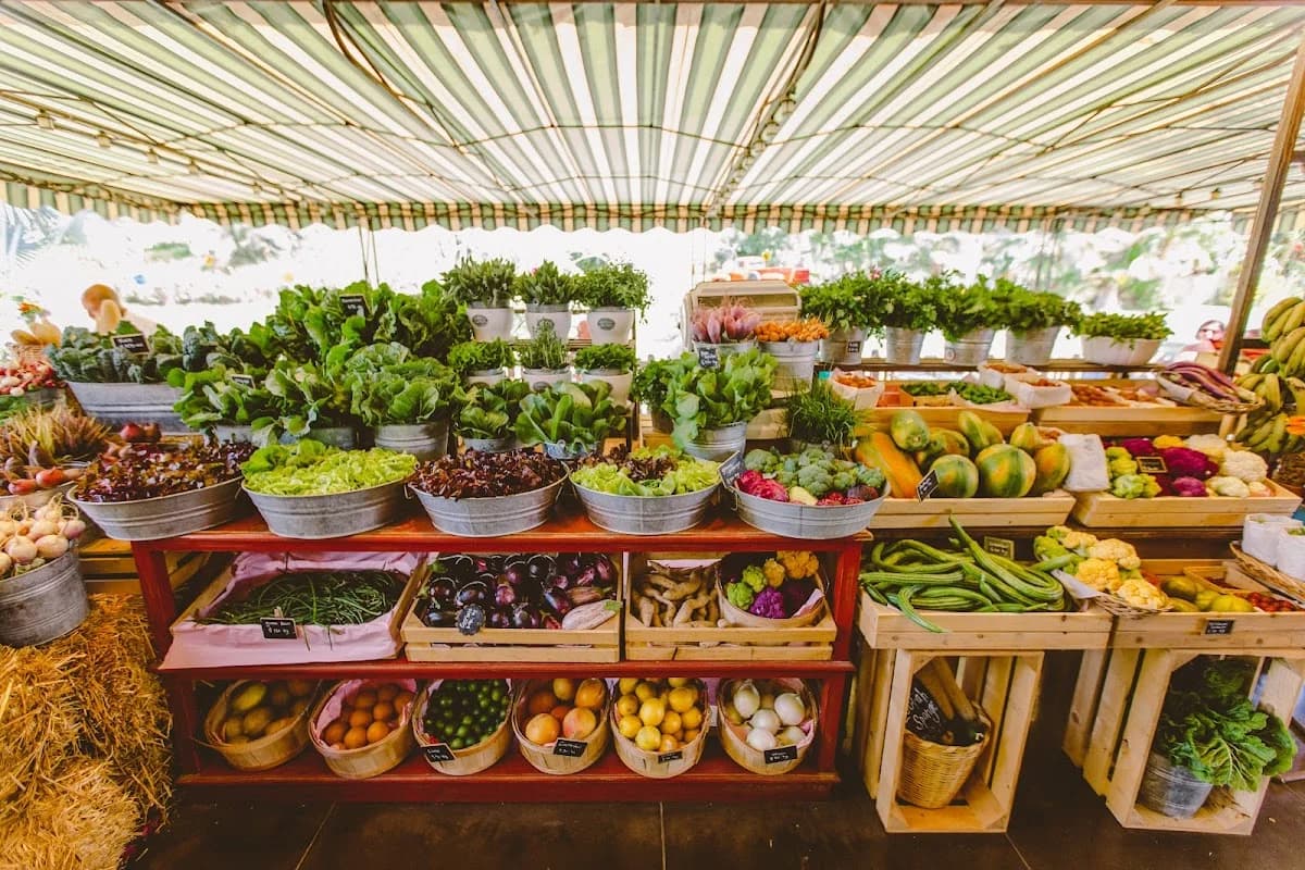Produce market stall at Flora Farms with fresh vegetables, fruits in San José del Cabo