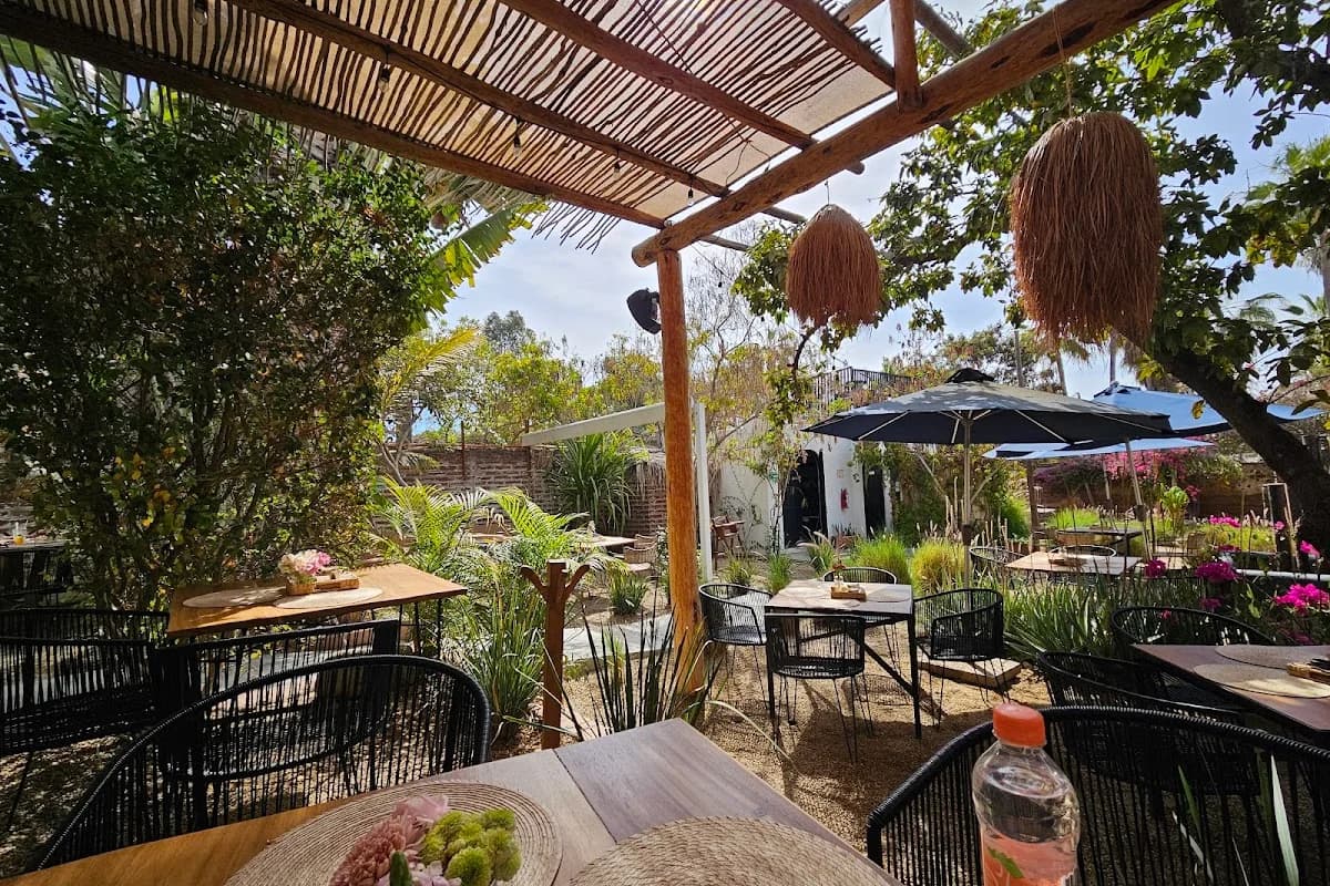 Outdoor restaurant seating at Jazamango Cafe under a palapa roof, lush plants in Todos Santos