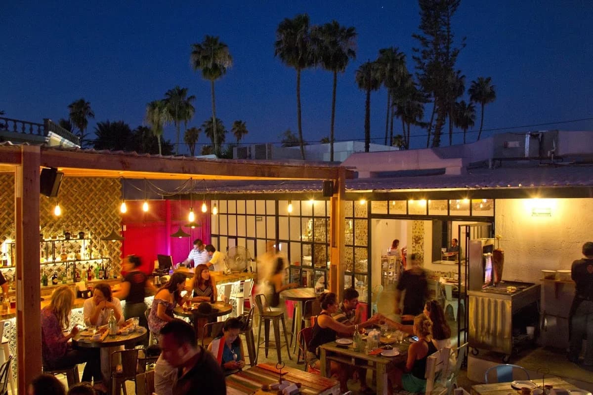 Outdoor restaurant at La Lupita Taco & Mezcal at night, with palm trees in San José del Cabo