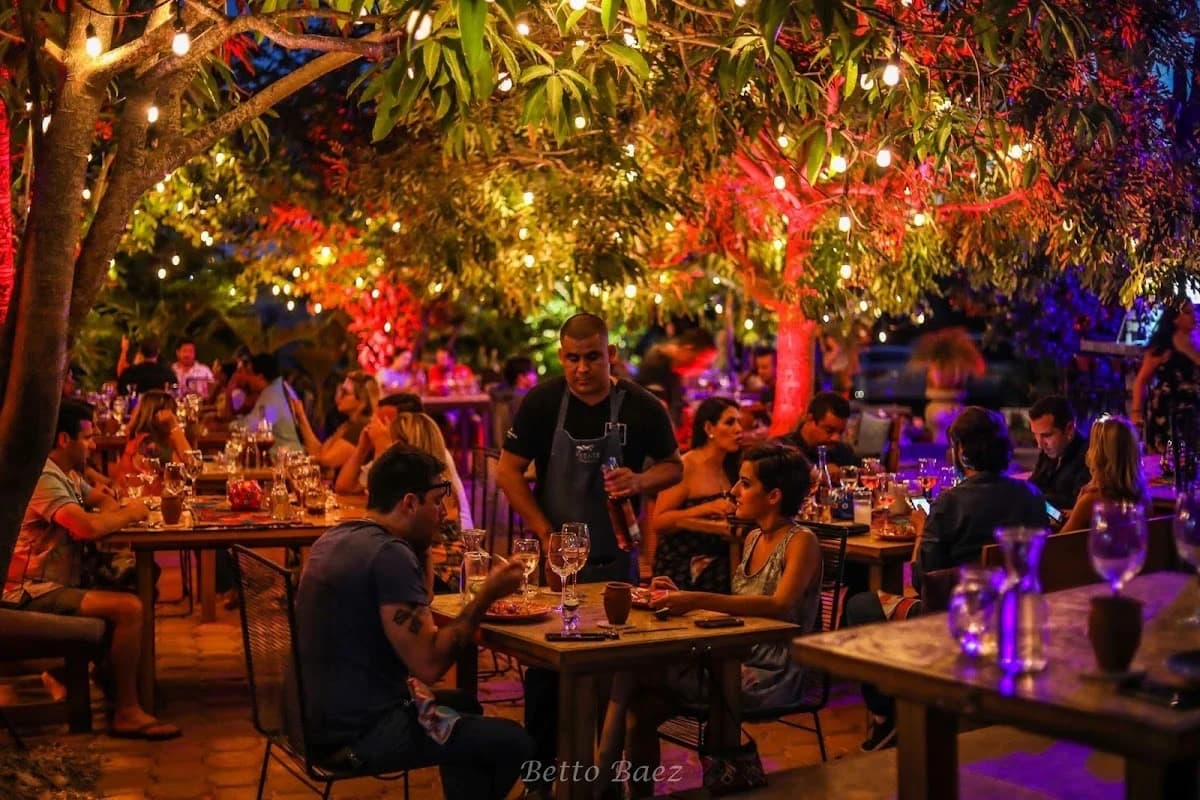 Outdoor restaurant at Metate Cabo at night, under string lights in Cabo San Lucas