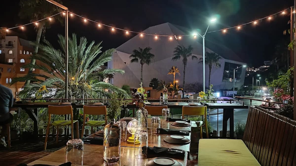 Outdoor dining at Outpost at night, string lights in Cabo San Lucas