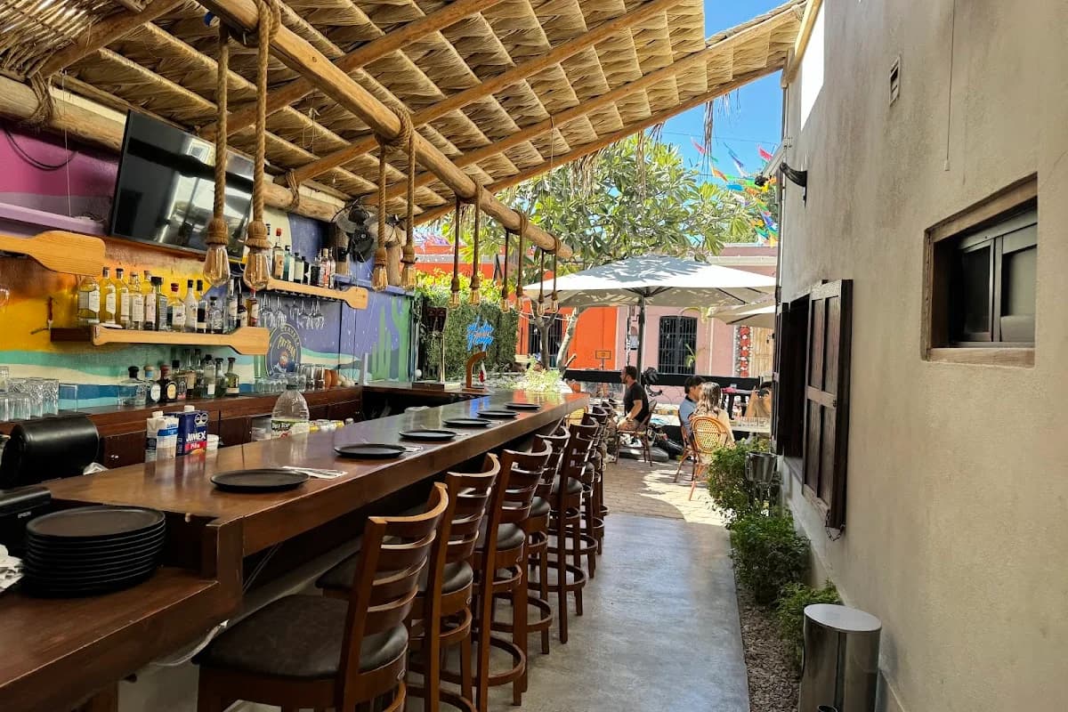 Outdoor bar at Ruba's Bakery & Bistro under a palapa roof, daytime in San José del Cabo
