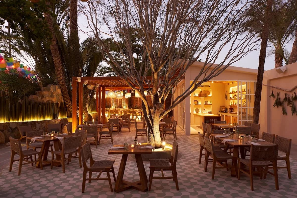 SAGE Baja — restaurant in San José del Cabo
