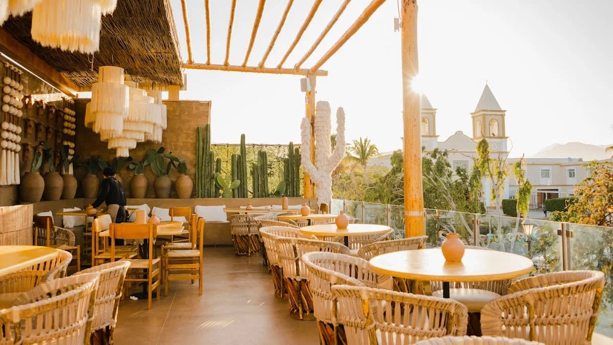 Rooftop restaurant at Santoro San José cactus decor, bright sky in San José del Cabo