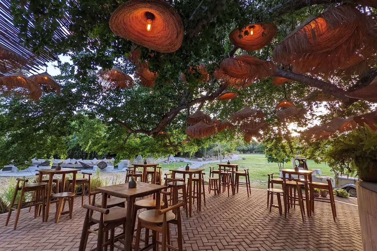 Outdoor dining at Semillon under trees, straw lamps in San José del Cabo