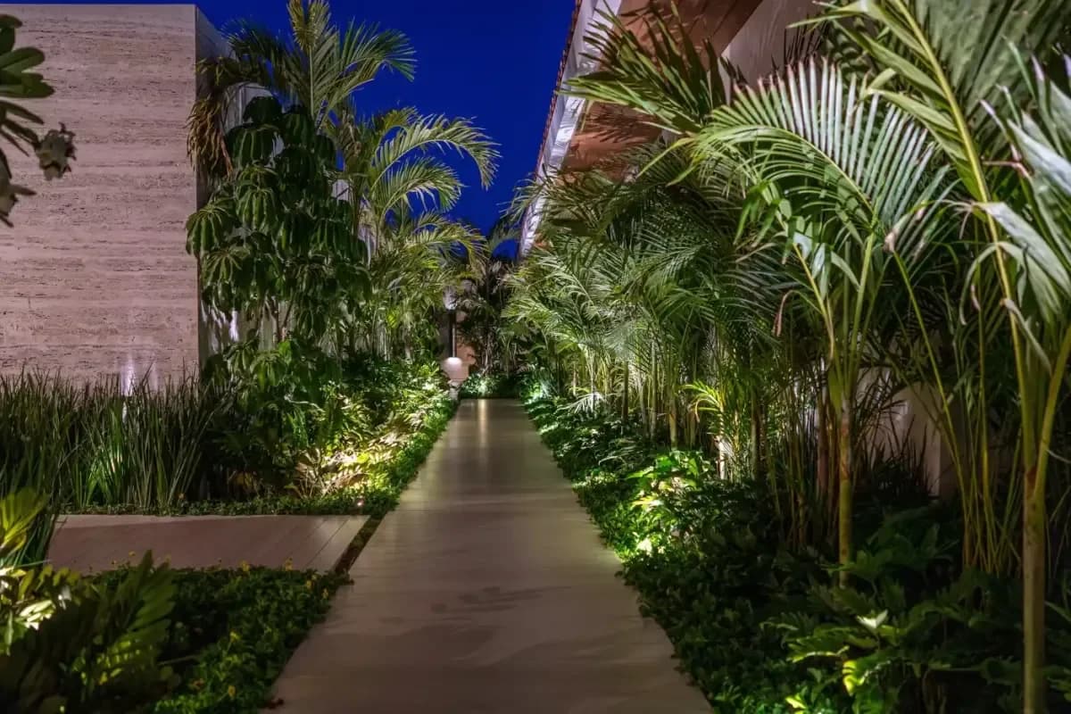 Garden pathway at Is Cabo Real Estate a Good Investment in 2026? at night, lit by lights