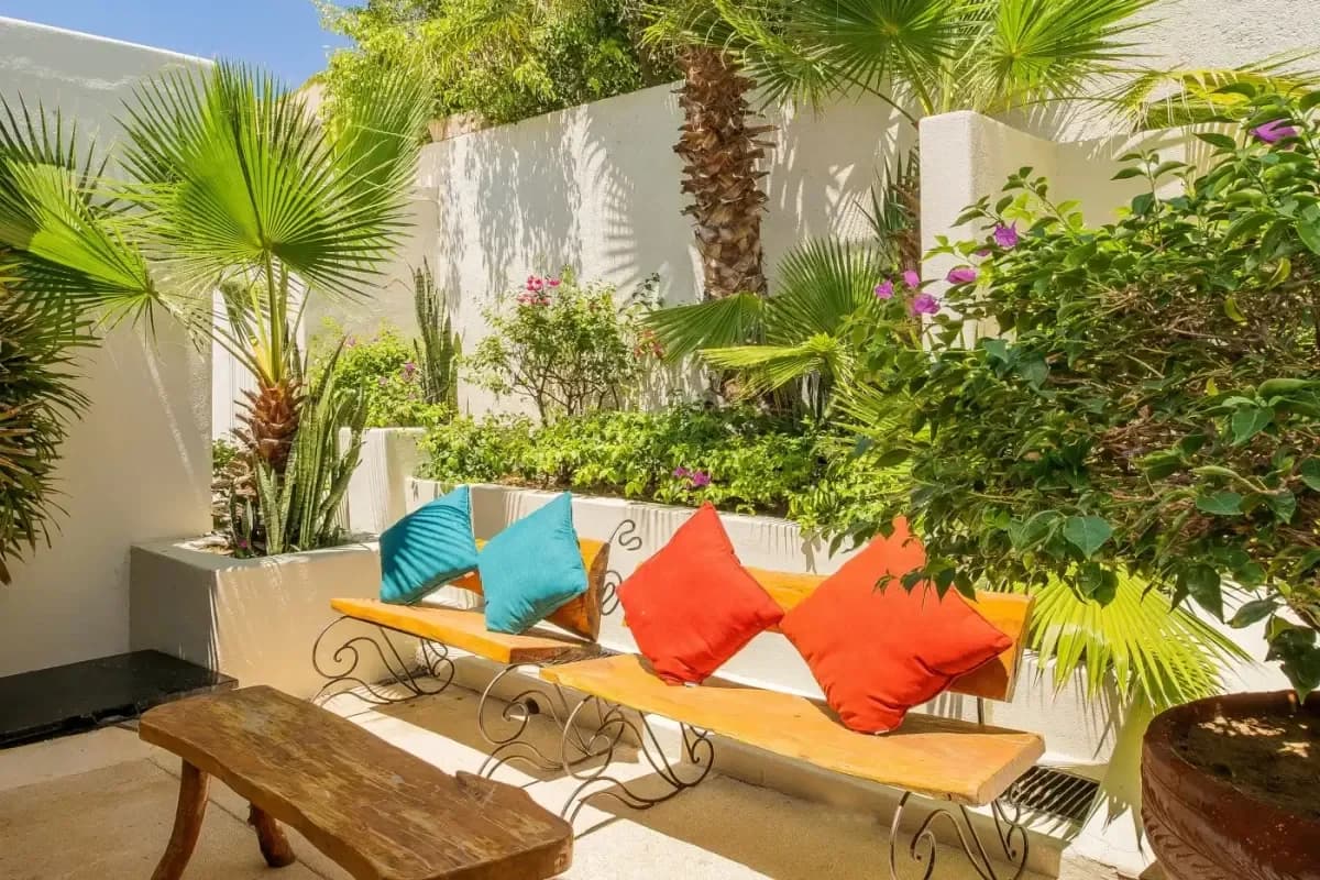 Todo Incluido Los Cabos México: ¡Ofertas Adentro!