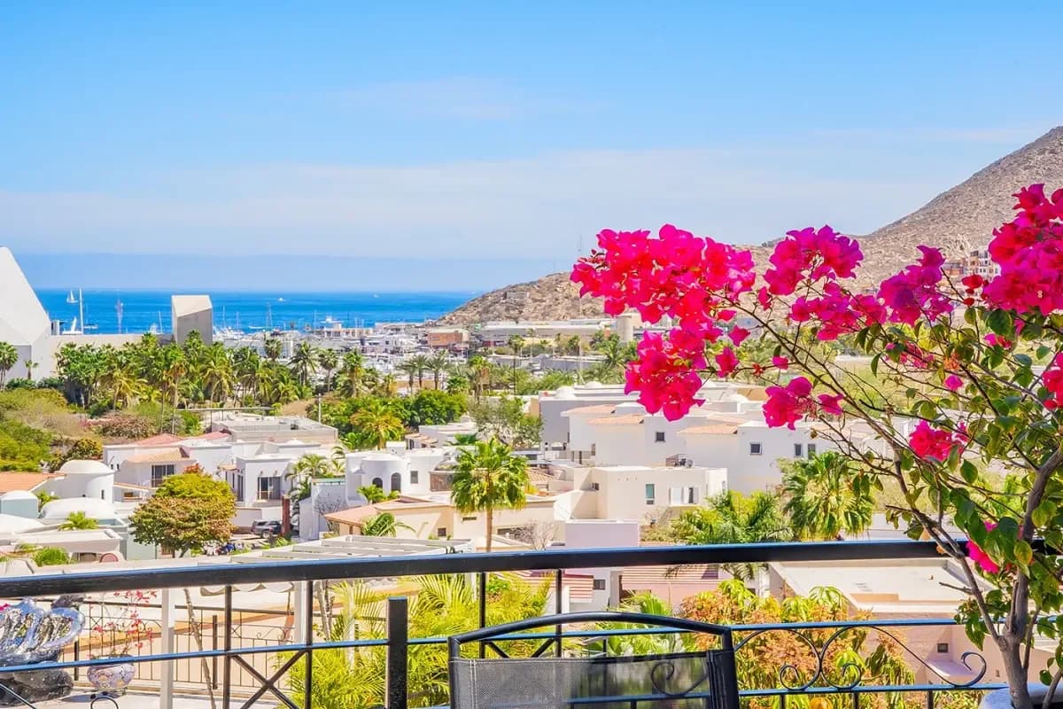 Ocean view at Dolphin Encounter Cabo Worth It from balcony with bougainvillea