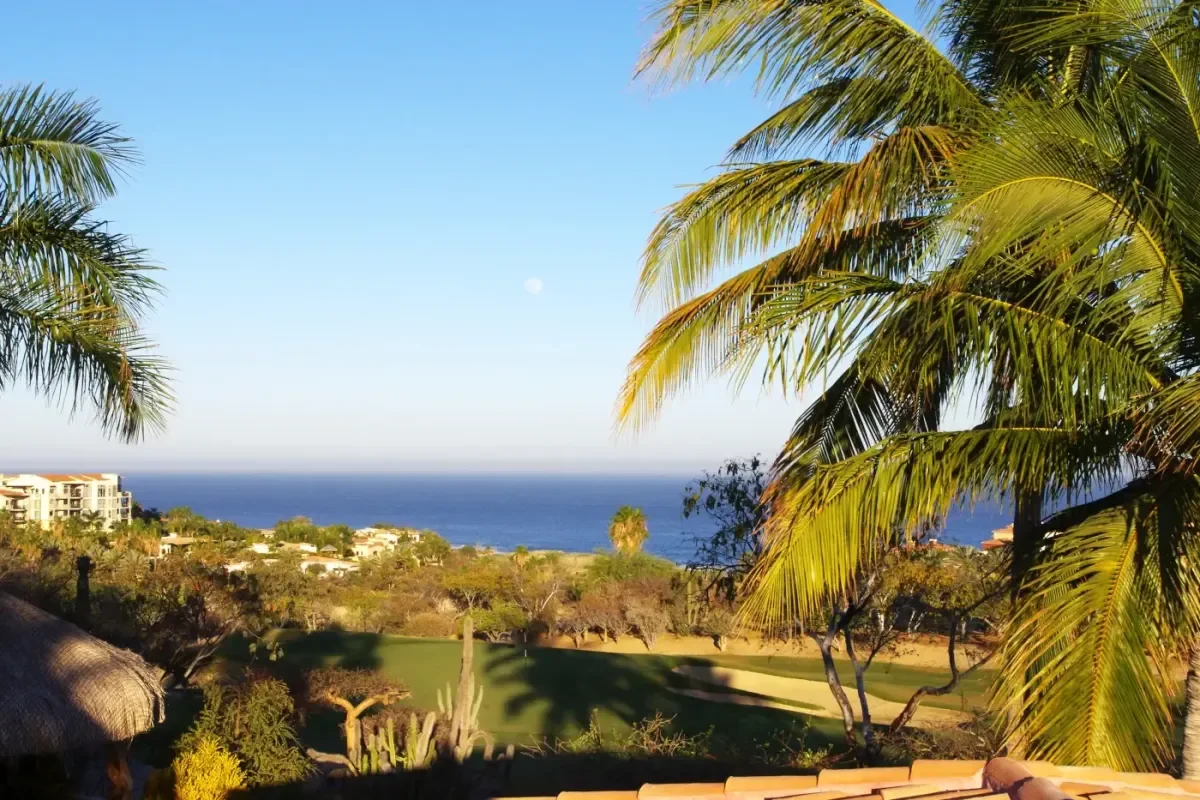 Ocean view at Casa Tortuga with palm trees, moon visible in Cabo Del Sol