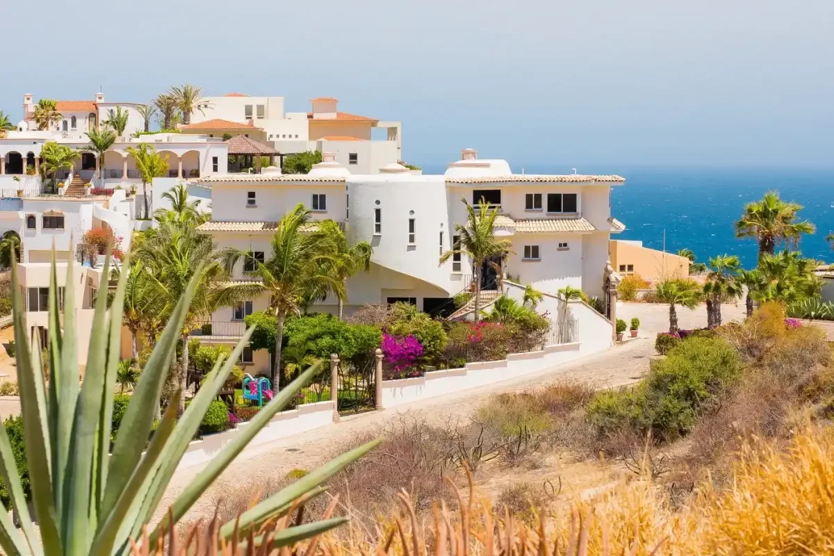 Exterior facade 1 at Discover Your Ultimate Luxury Wellness Retreat in Cabo for 2026 with lush landscaping, sunny day