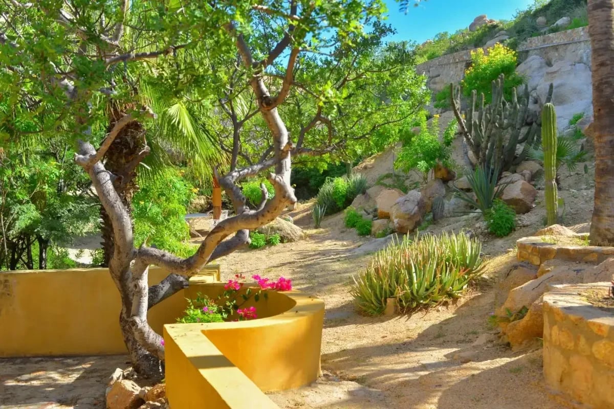 Foto 9 de Villa Los Geckos, villa de 4 recámaras en Pedregal Bay
